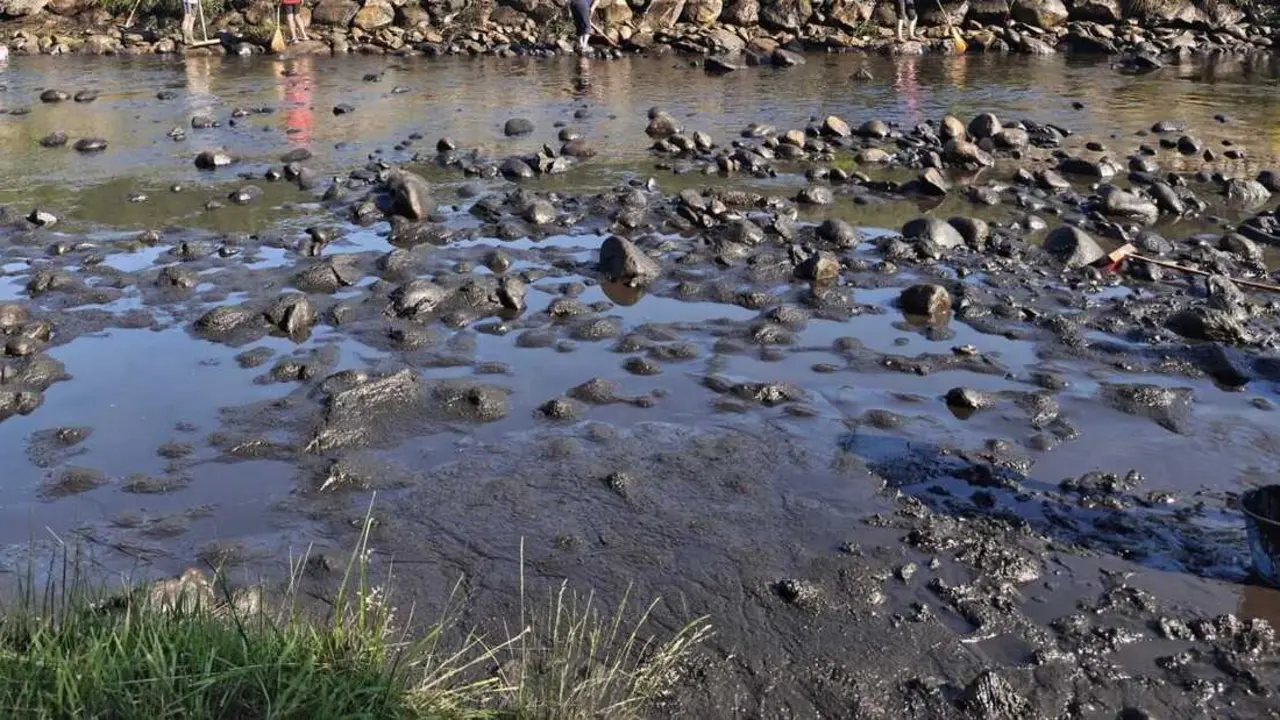 toneladas de ceniza acumuladas en la piscina fluvial de Porto de Sanabria  (3)