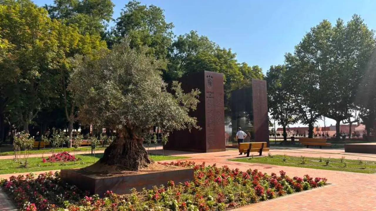 Zona de La Rosaleda Paseo de la Mota Benavente