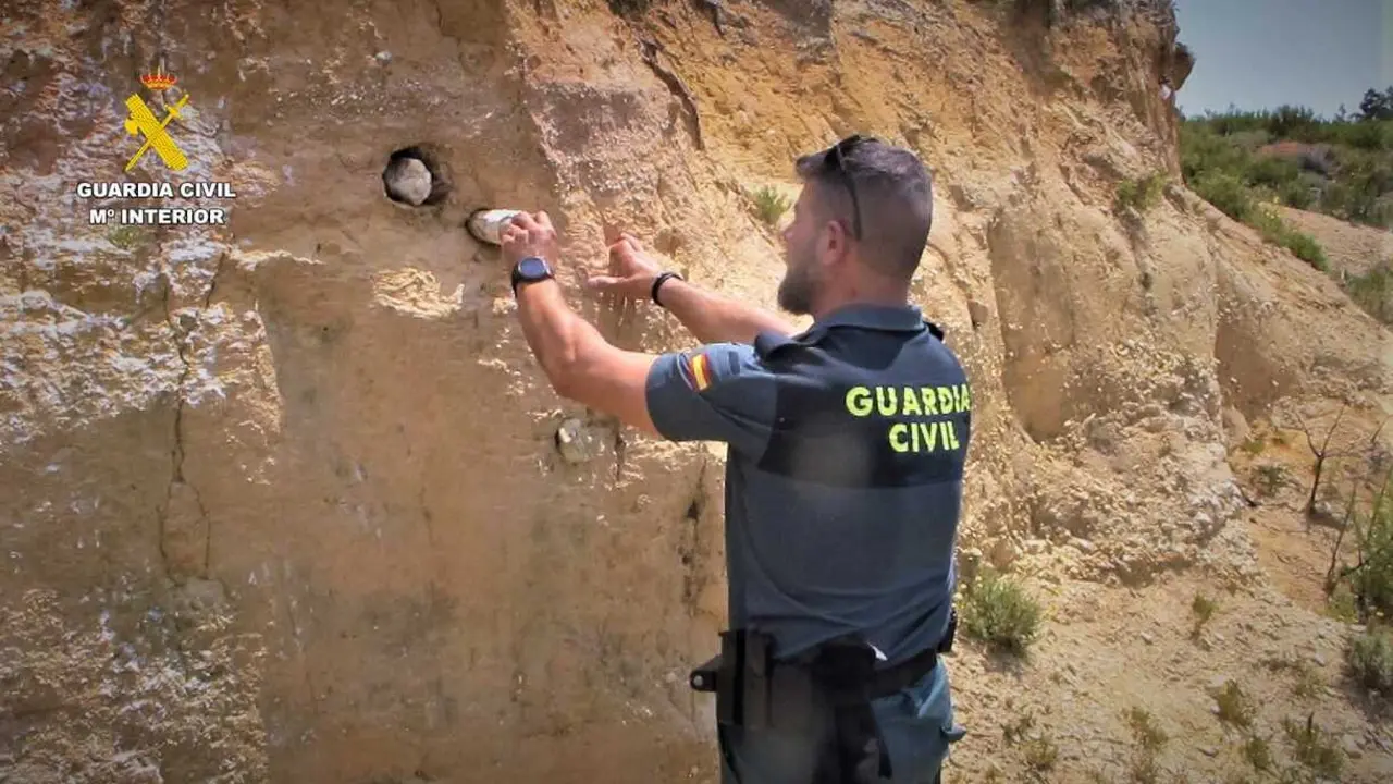 Nidos de abejaruco taponados en Villardeciervos