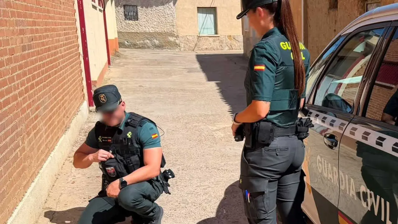la Guardia Civil investiga un caso de maltrato animal en Villalpando