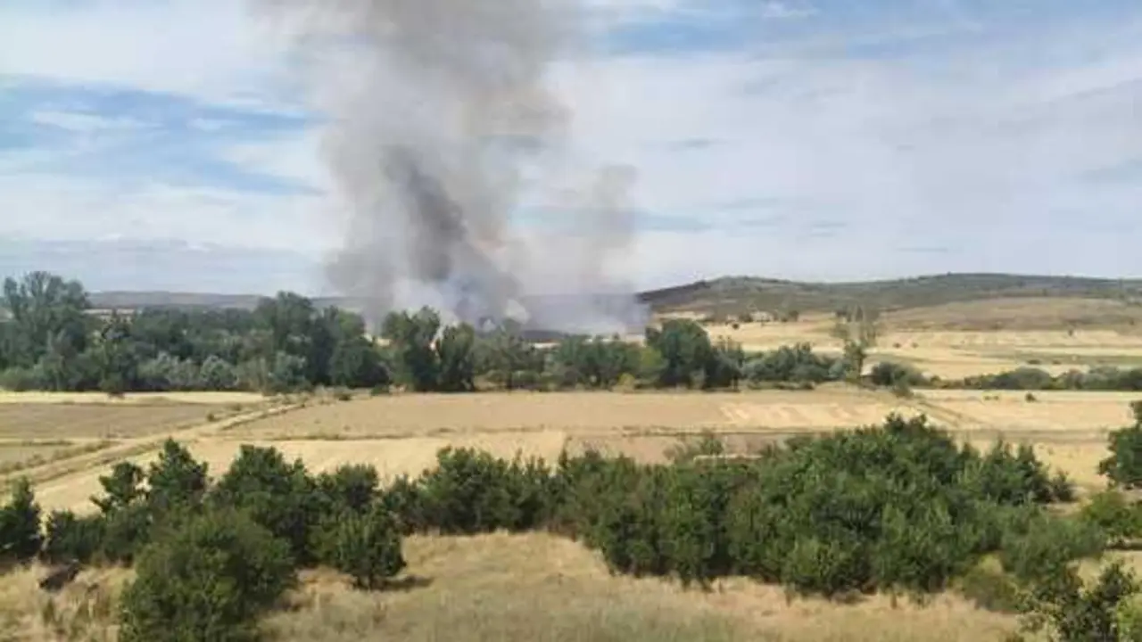 incendio entre Tardem&eacute;zar y Rosinos de Vidriales