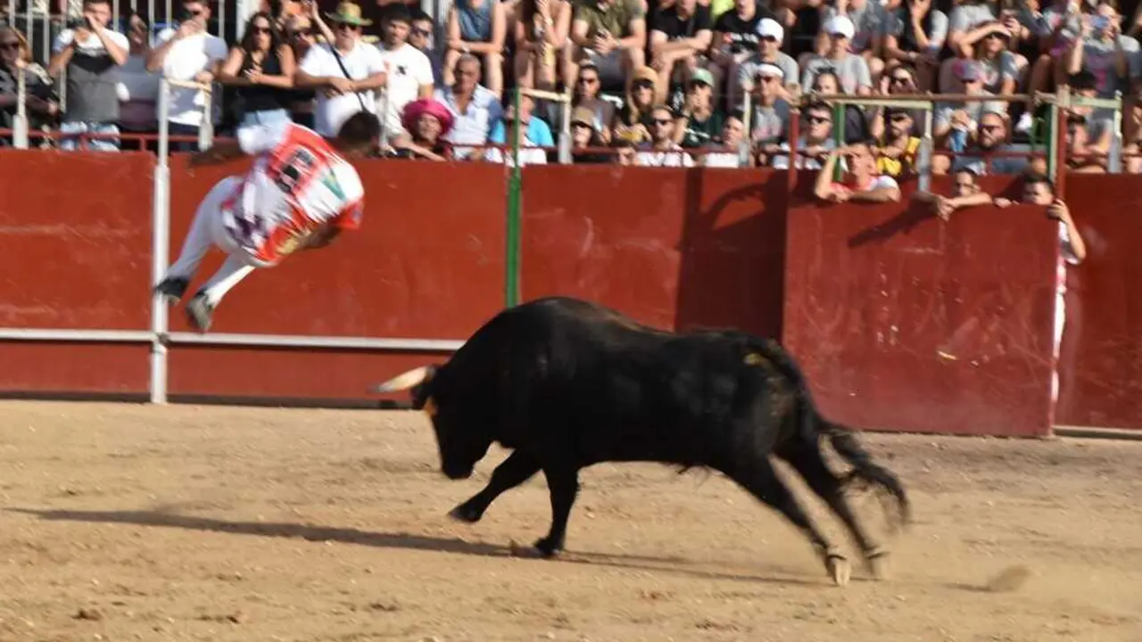 Cortes moraleja Zamora 2026_90