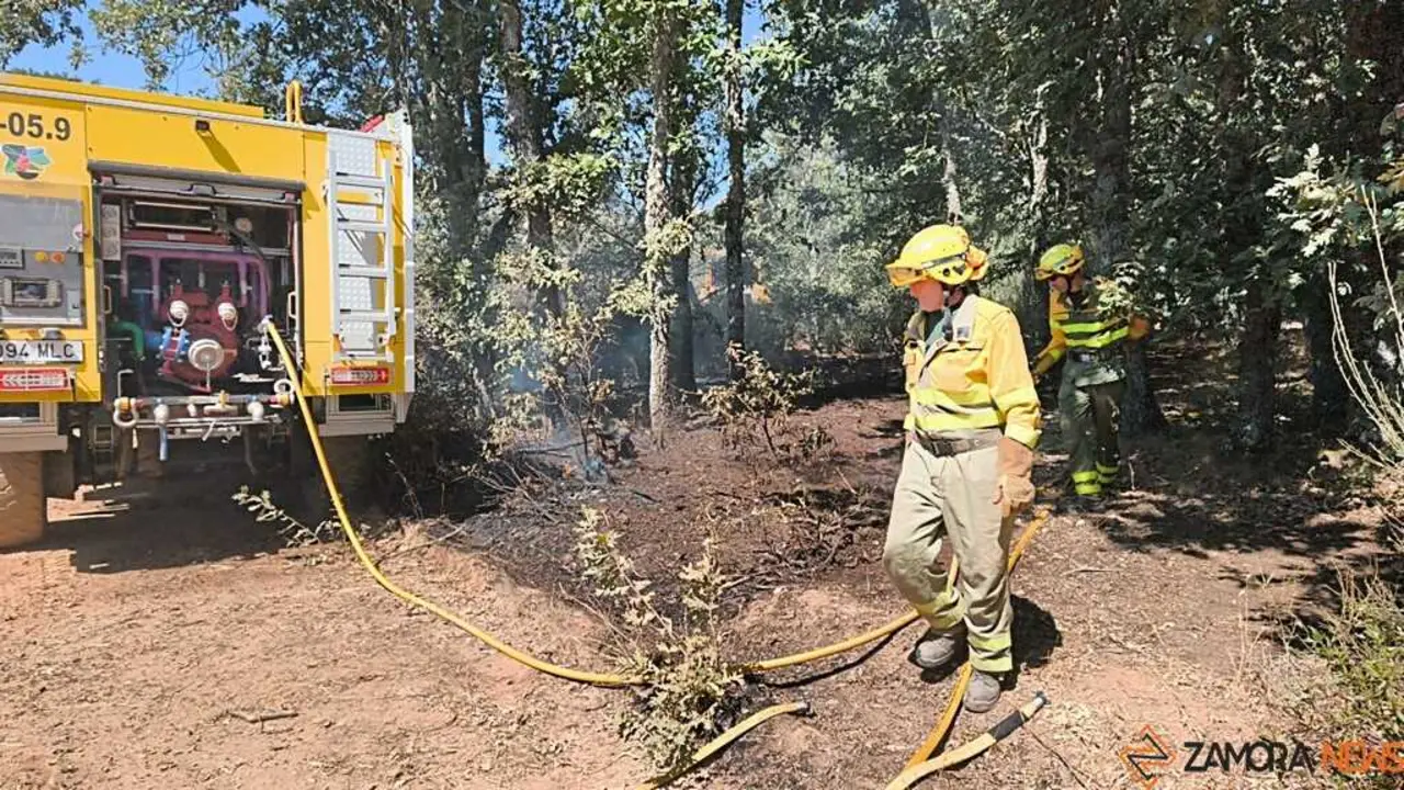 incendio forestal R&aacute;bano de Aliste _43
