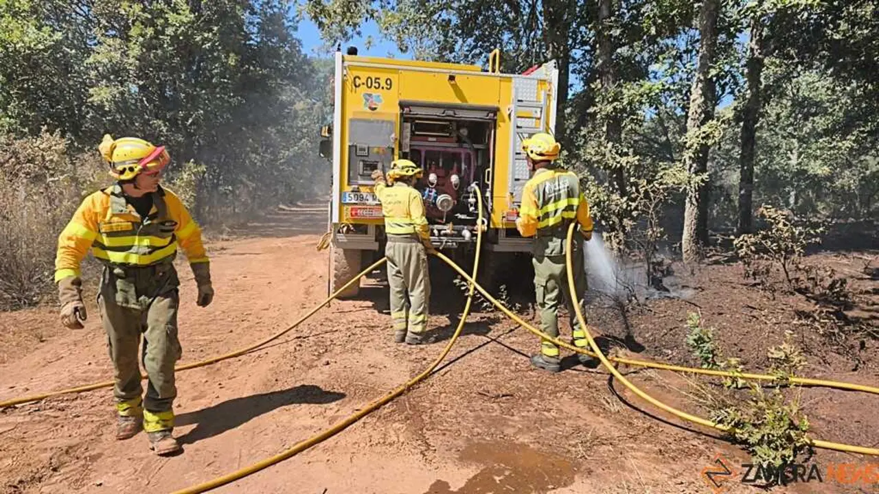 incendio forestal R&aacute;bano de Aliste _47