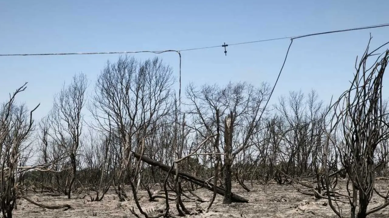 incendio forestal R&aacute;bano de Aliste _5