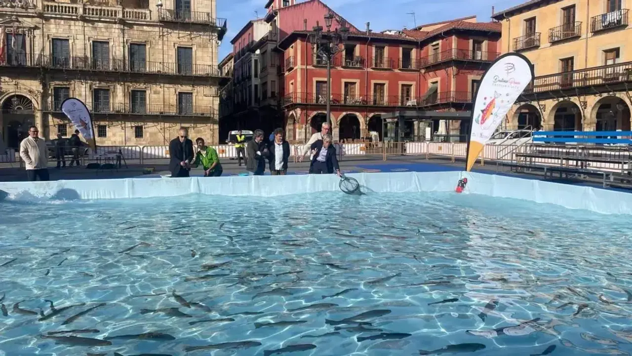 Actividad de pesca en cautividad en plena Plaza Mayor de Le&oacute;n capital, que se repetir&aacute; en la Semana de la Trucha. Foto ileon
