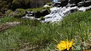 sanabria primavera (1)