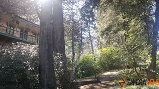 bosque jardín fenal  (47)