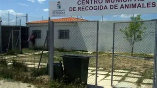 perrera municipal