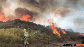fuego zamora hermisende