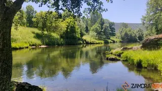 tuela