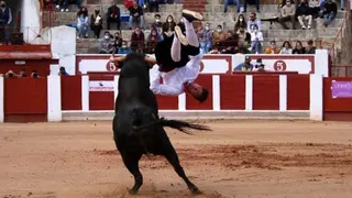 cortes goyescos (15)