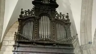 Órgano de Fermoselle