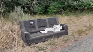 Sofá en la carretera de Trefacio