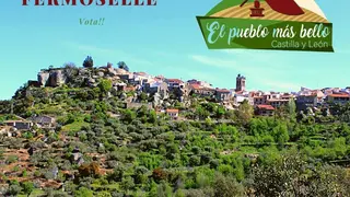 Cartel Fermoselle candidatura Pueblo más Bonito 2021