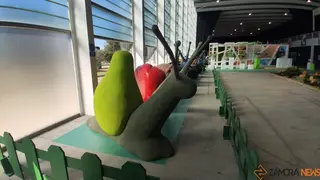 ecocultura (6)
