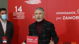 GALER&Iacute;A | El reelegido Antidio Fag&uacute;ndez, junto al ministro Marlaska y el secretario general del PSOE de Castilla y Le&oacute;n en el 14&ordm; Congreso Provincial del PSOE de Zamora. | FOTO: Marcos Vincente