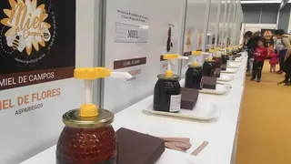 III Feria Internacional Apícola (8)