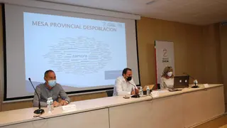 Mesa despoblación julio 2021