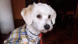 Luno