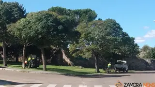 Trabajadores de Parques y Jardines en Pinilla