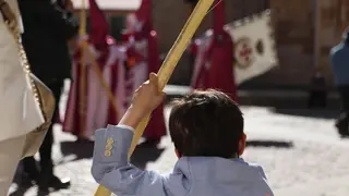 Un niño sujeta su Palma mientras descansa en la procesión de La Borriquita