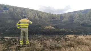 Incendio imagen de archivo de un trabajador de la cuadrilla terrestre