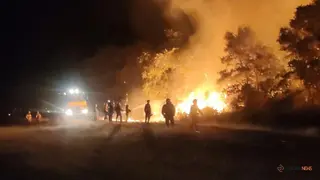 Varios agentes del plan INFOCAL tratan de sofocar el incendio declarado en Losacio