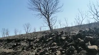 La Sierra de la Culebra, tras el incendio