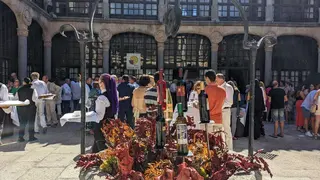 Festival Cheese-Pún