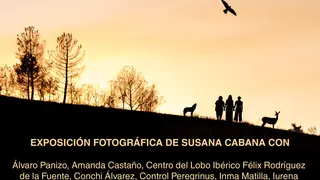 Cartel exposición de Tábara