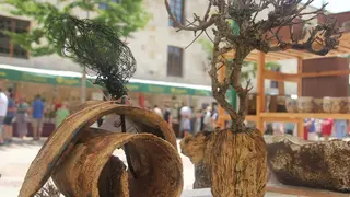 51 Feria de Cerámica y Alfarería Popular de Zamora_21