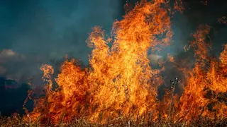 Incendio