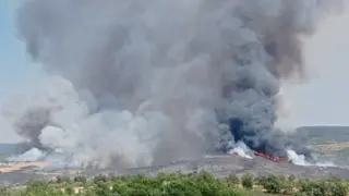 Fuego declarado en Argozelo, Portugal