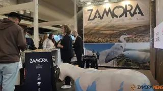 Promoción de Zamora en la edición de Intur 2023