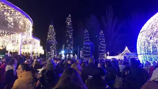 Zamoranos en la Plaza de los Sueños en 2022