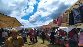 romería de la luz (11)