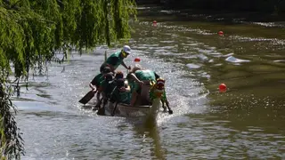 barco dragón zamora _20