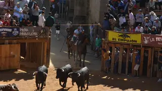 a caballo encierro fermoselle 2024_64