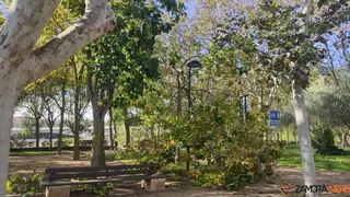 Destrozos Zamora Vientos_5