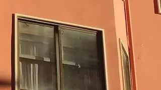 disparos en una ventana de Zamora 