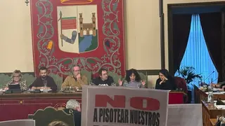 pleno ayto policías _2