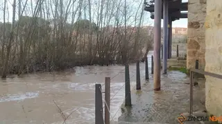 Crecida del Río Duero Zamora_16