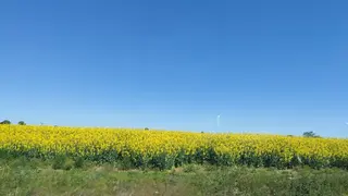 apagón pero no en el campo