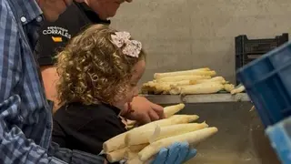 espárragos Corrales. IMAGEN CEDIDA  (11)