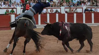 rejones zamora 2025 joaquín fernández_3