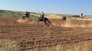 WhatsApp Image 2025-07-27 at 11.58.07