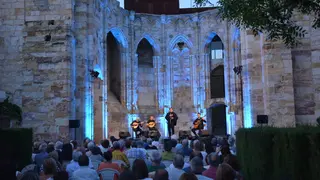 fados viernes grupo centro  (8)