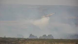 fuego puercas vegalatrave losacio_163