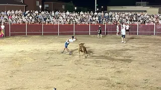 vaquillas Villaralbo _10